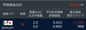 メキシコペソ FX 口座状況 2020-6